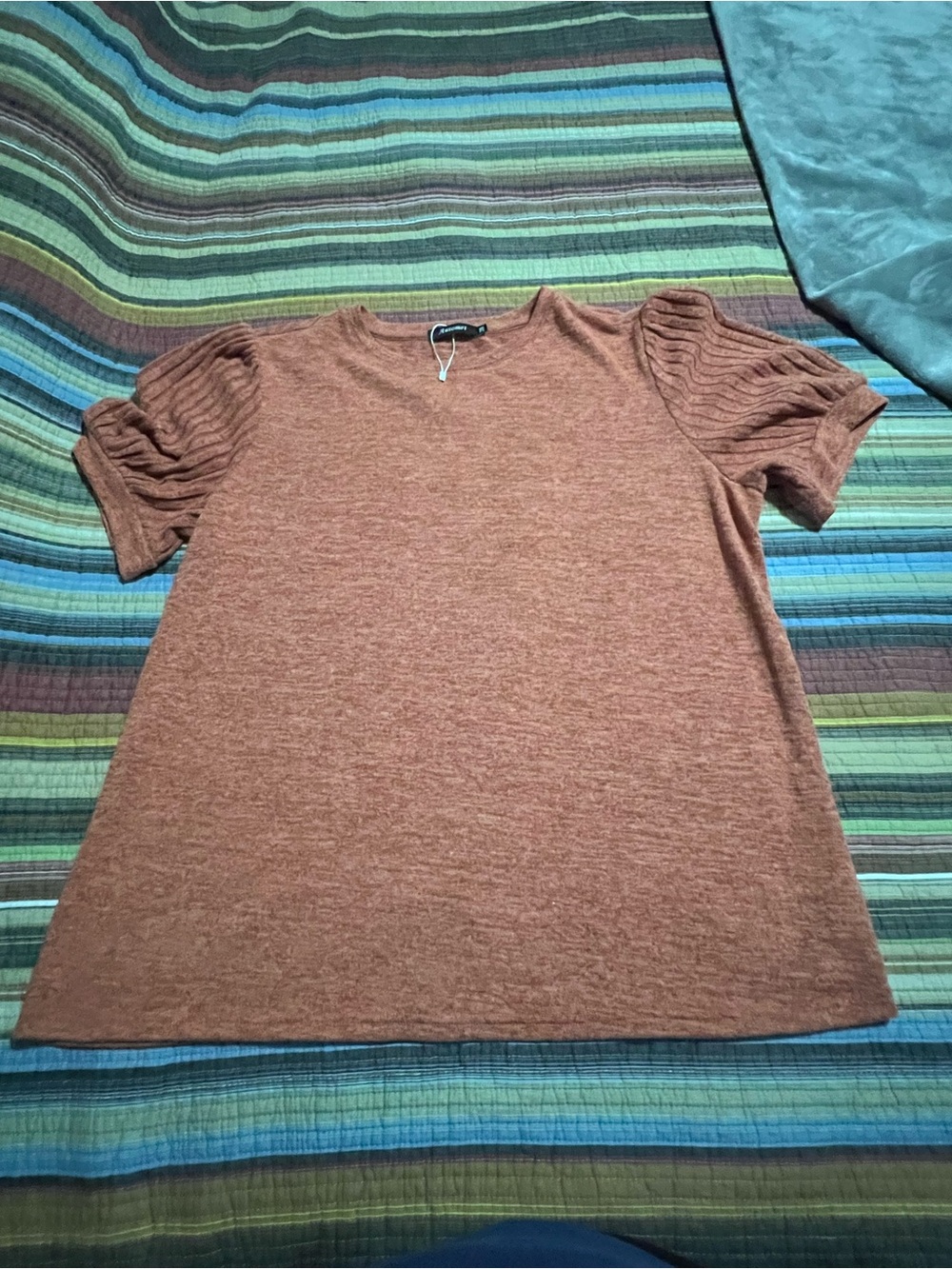 Short Sleeve Knit Top in Rust with Puff Sleeve Detail